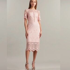 Tadashi Shoji Gray Lace Dress